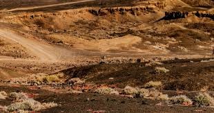 CIES：曼联近5年的引援性价比全球垫底，皇马第一巴黎第五