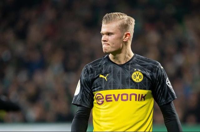 开花与智利 开花与智利